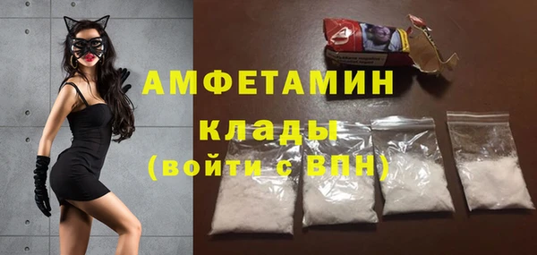 индика Алексин
