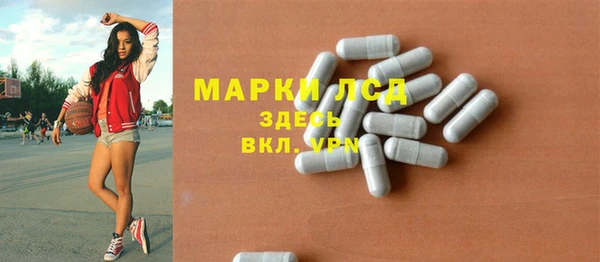 индика Алексин