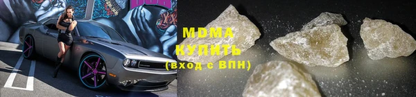 индика Алексин