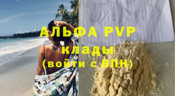 индика Алексин