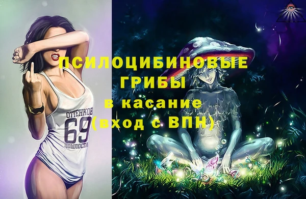 стафф Алзамай